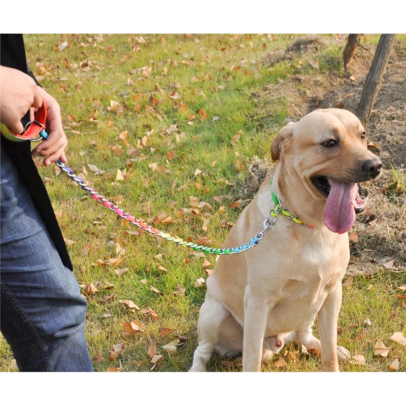 Benepaw Rainbow Dog Collar Lead Set Sturdy Stainless Steel P Choke Metal Chain Pet Leash For Small Medium Large Dogs Training
