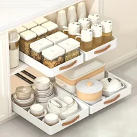 Estante extraíble especias cocina