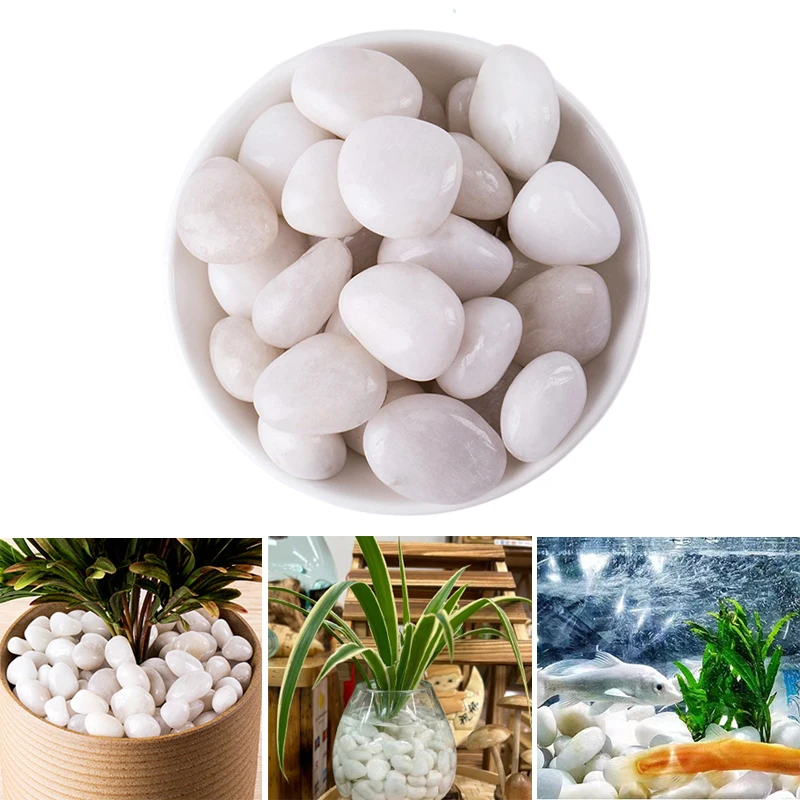 #57 Latest Vase Fillers Updates