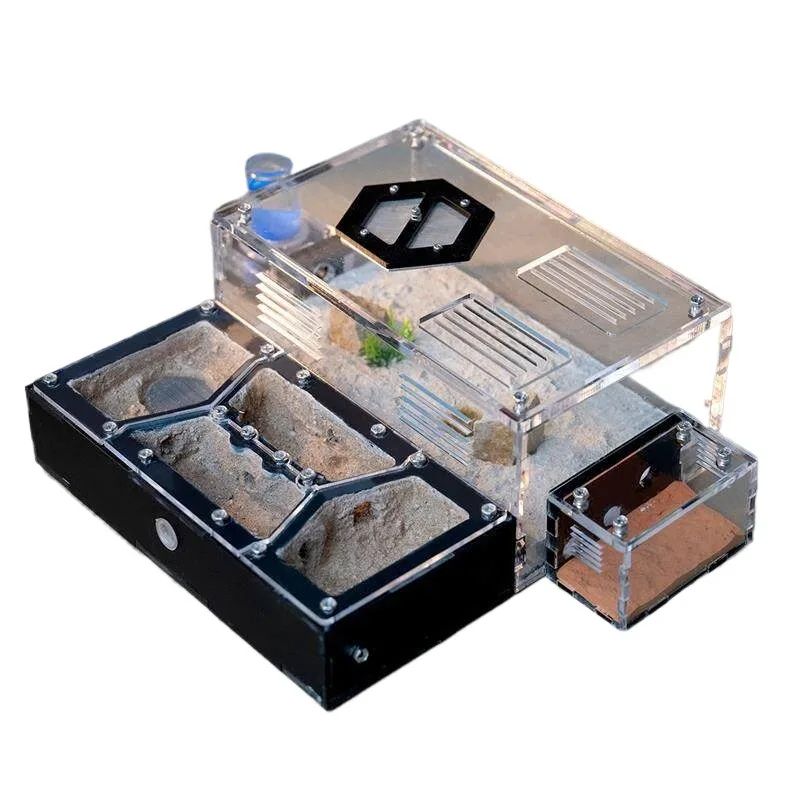 For concrete flat ant nest, acrylic ant nest, bow-backed harvesting honeypot nest