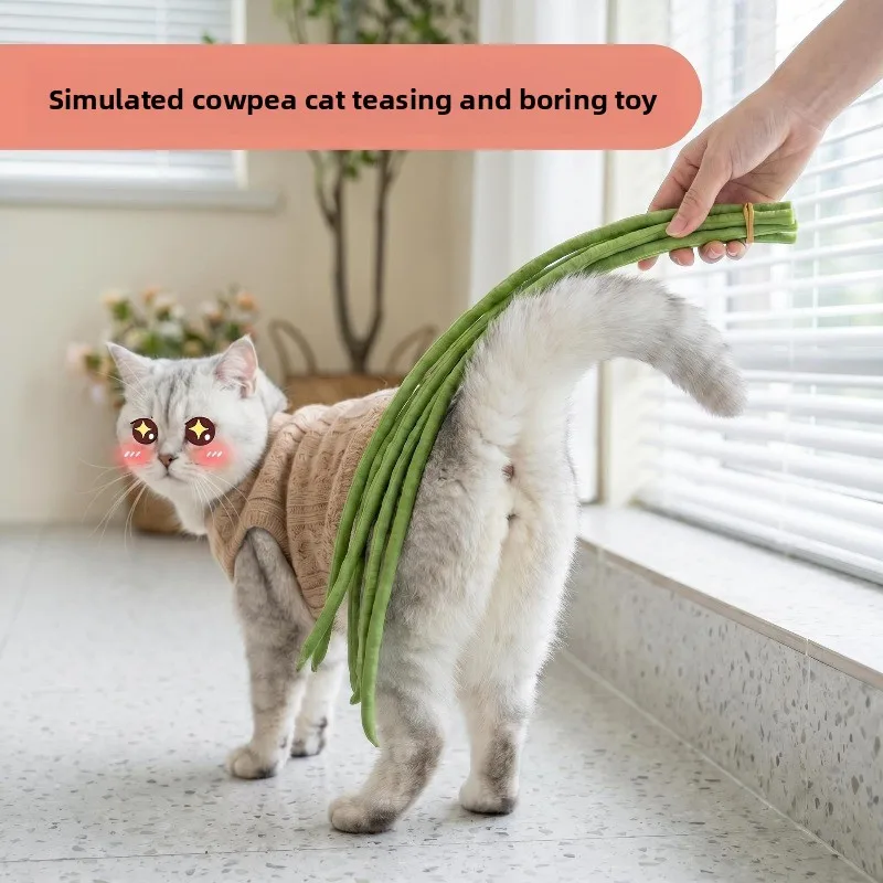 Interactive Cat Wand Toy, Soft Plush Bean Pod Teaser with String Whip for Indoor Kittens, Durable Chew