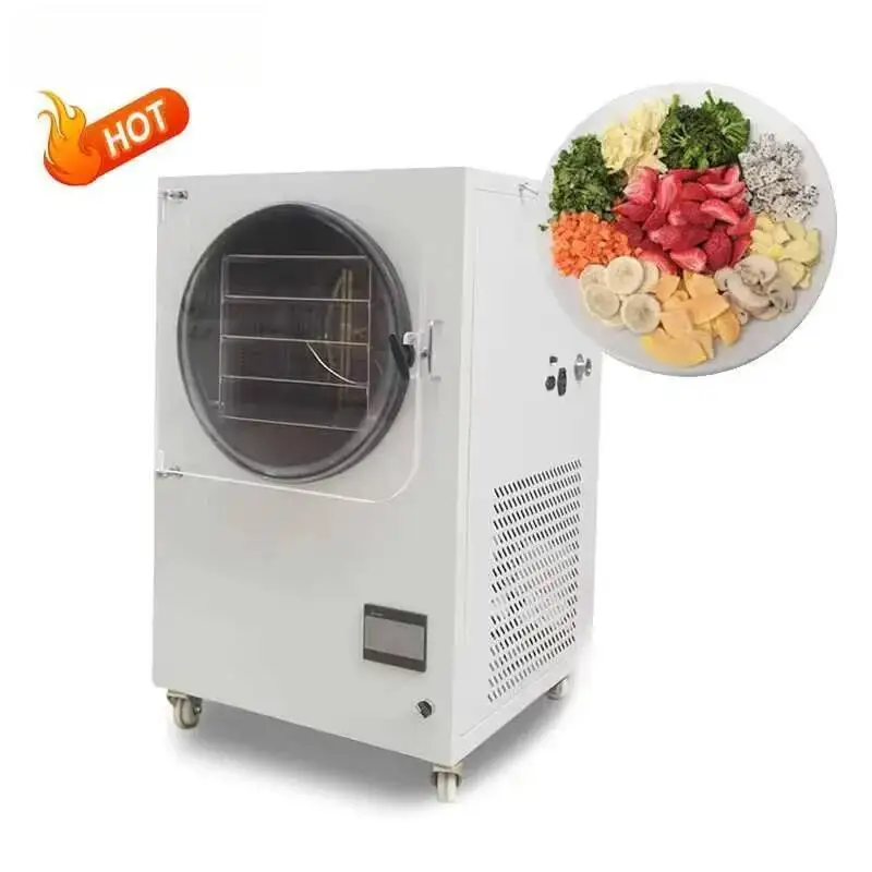 2025 New Completely Stainless Steel Fruit And Vegetable Food Freeze Dryer