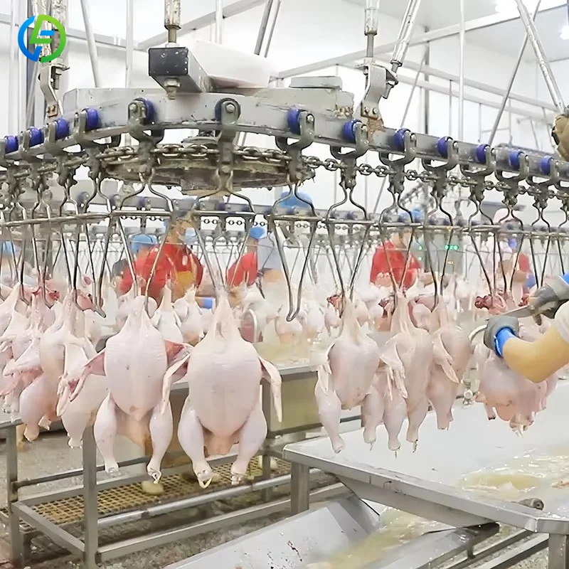 Factory Direct Supply Small Chicken Slaughtering Machine Price Includes Motor Direct Equipments Customized