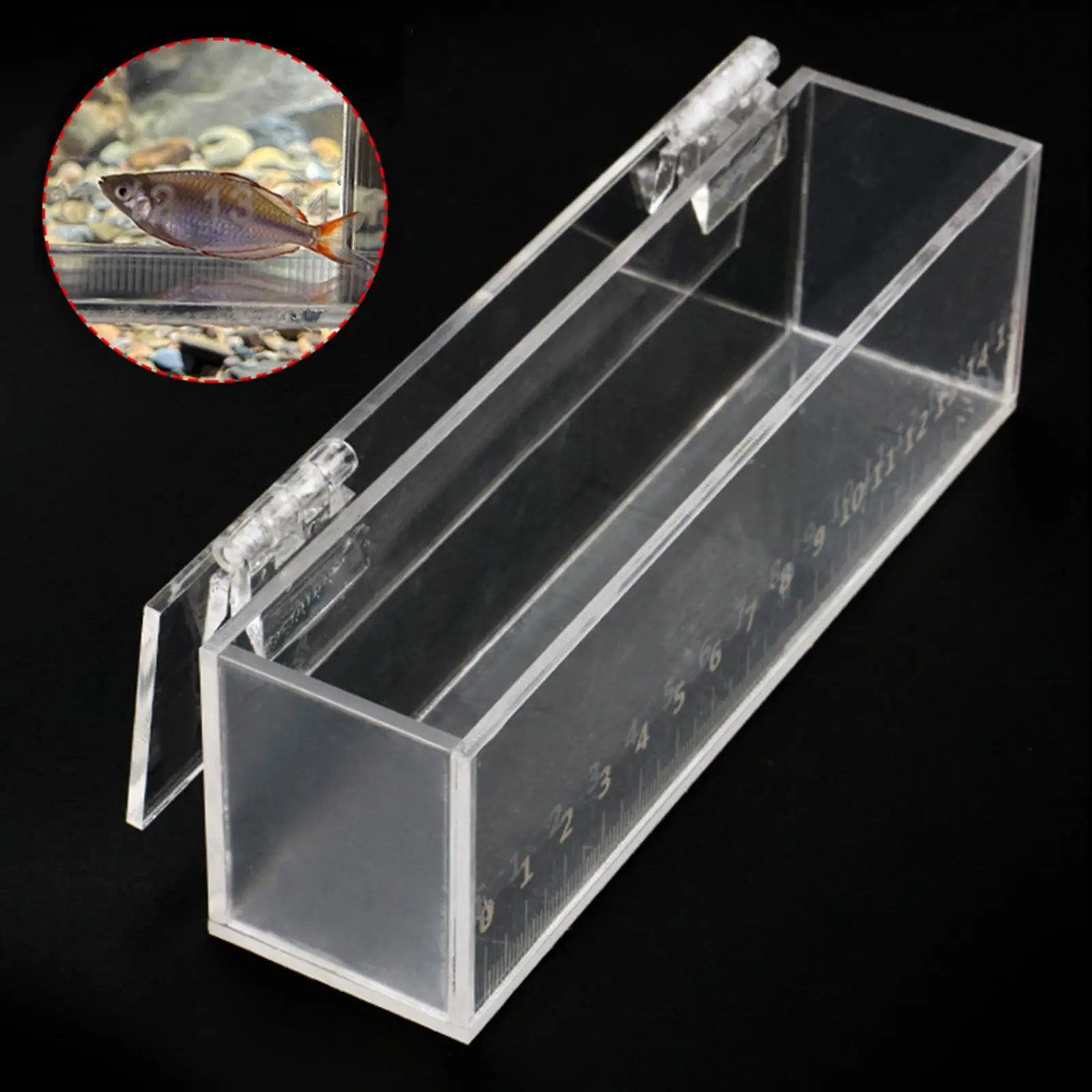 Fishing Photo Tank Acrylic mini Aquarium with Lid Fish Viewing Box Hatching Boxes Isolation Breeder Box with Scale