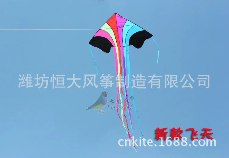 Large Size Rainbow Strip Size Flying Kite Children Rainbow Long Tail Good Flying Kite Kids Birthday Gift