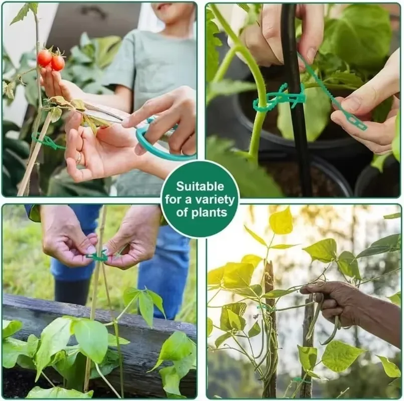 Ikatan Kabel Tanaman Plastik Dapat Disesuaikan Ikatan Pengunci Otomatis Dapat Digunakan Kembali Tanaman Rambat Tanaman Kebun Mendukung Pengikat Kabel Batang Pengikat Klip Tomat