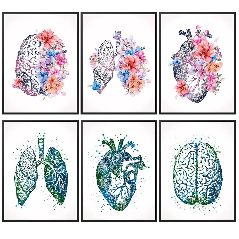 

Flower Organ Heart Liver Brain Posters and Prints Wall Art Canvas Painting Home Decor Wall Pictures For Living Room Unframed