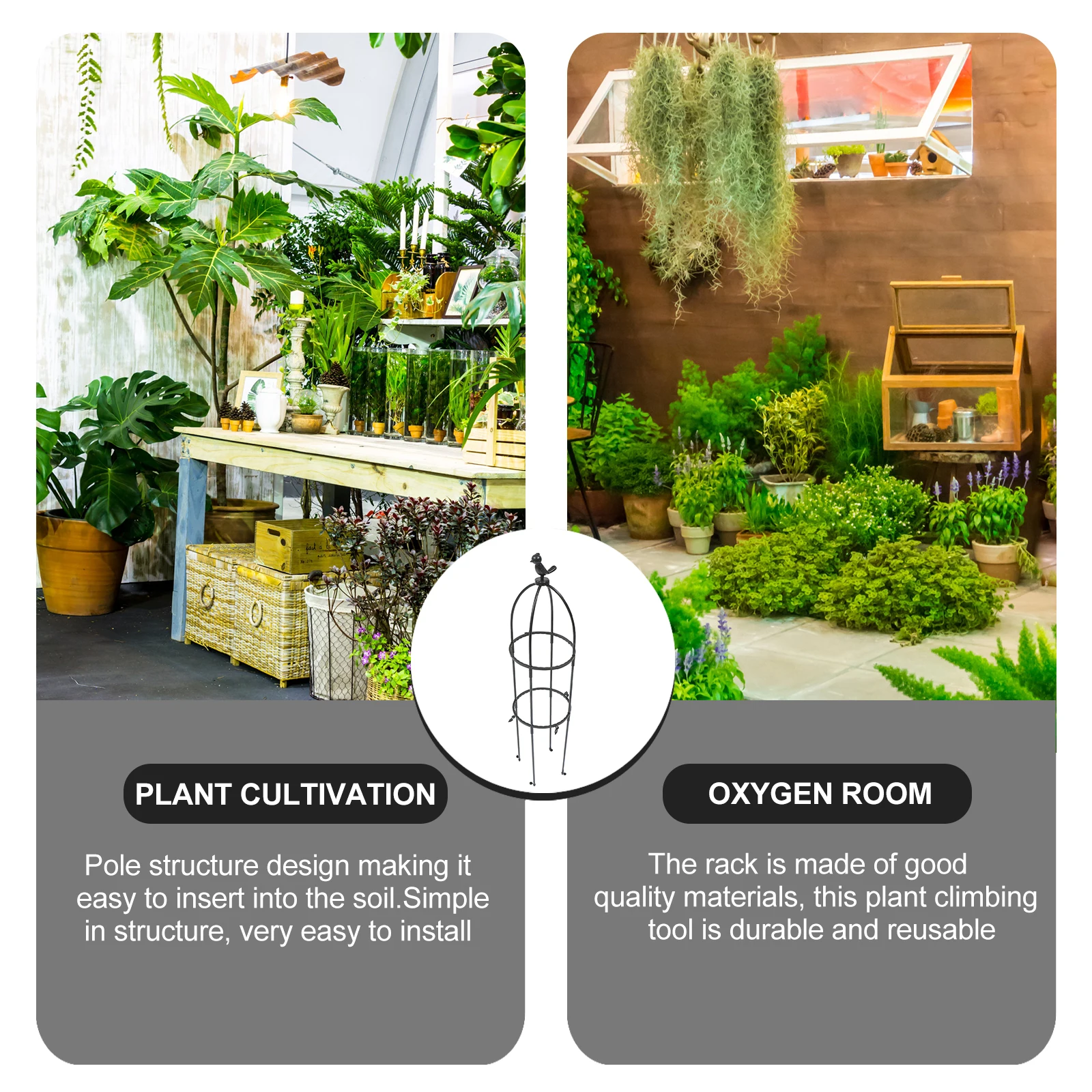 

1 Set Plant Vine Climbing Rack Durable Reusable Flower Support Frame Safe Garden Trellis Indoor Outdoor Use Flowerpot Supply