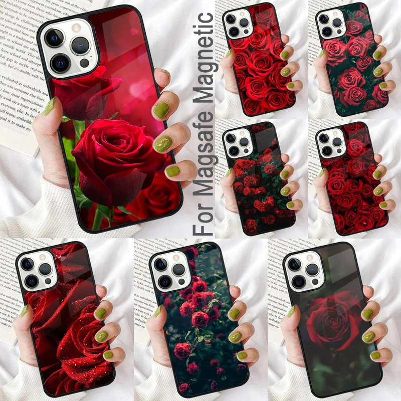 Red Rose Soft Phone…