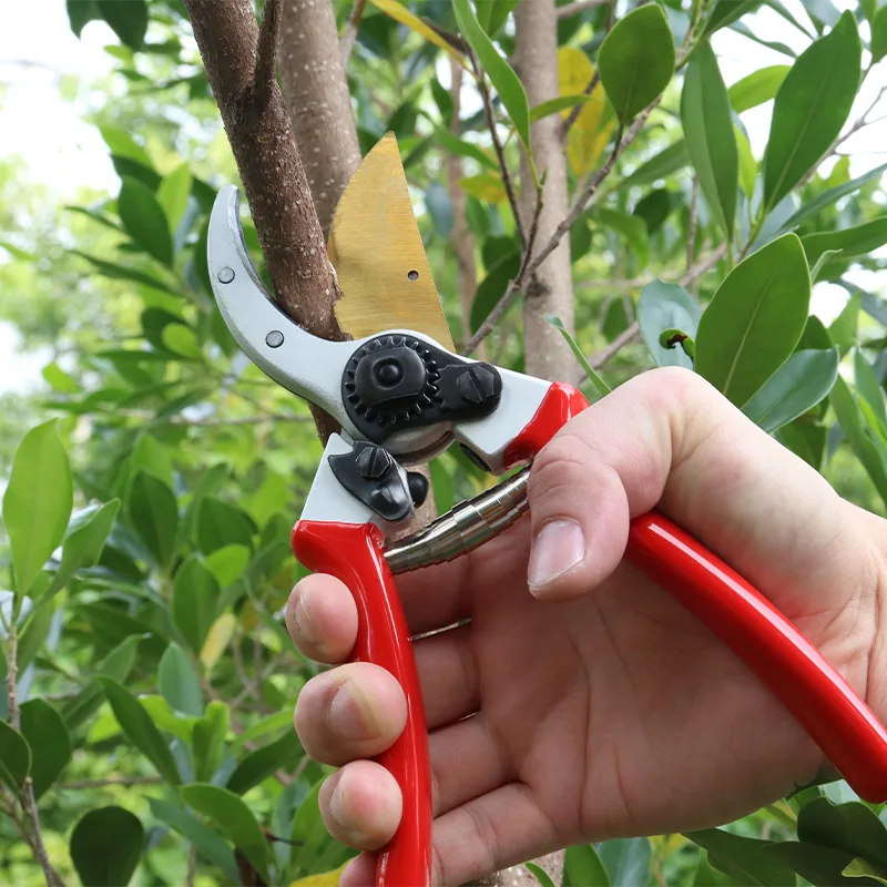 Horticultural Fruit Tree Pruning Shears - Japan SK5 Steel, Sharp & Two - Speed Labor - Saving | for Fruit Branch Trimming