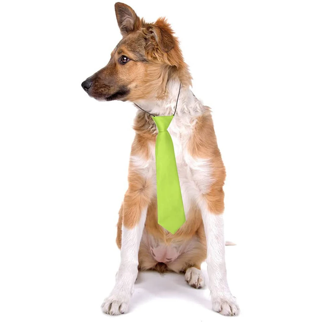 Dog Bow Tie Set 4