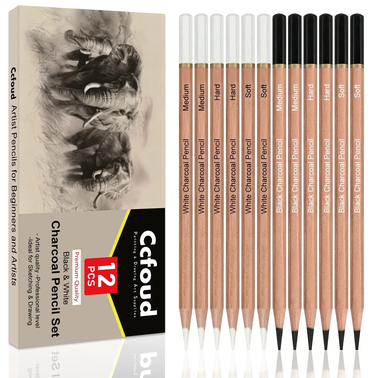 Pro Charcoal Pencils Drawing Set,6/10/12/20 PCS,Black/White Charcoal Pencils,S/M/H Charcoal Pencil for Drawing,Sketching,Shading