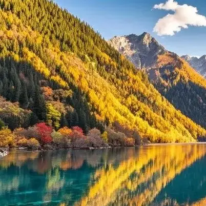 60V Rechargeable Ba… - image