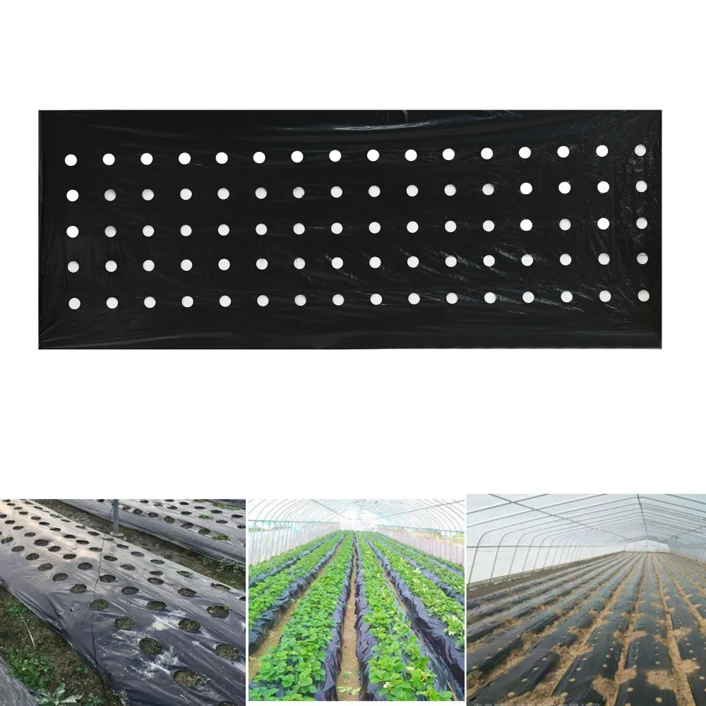 Weed Control Fabric Perforated Film Plants Heavy-duty Holes Plastic Vegetable PE Garden Black Mulching Greenhouse Membrane