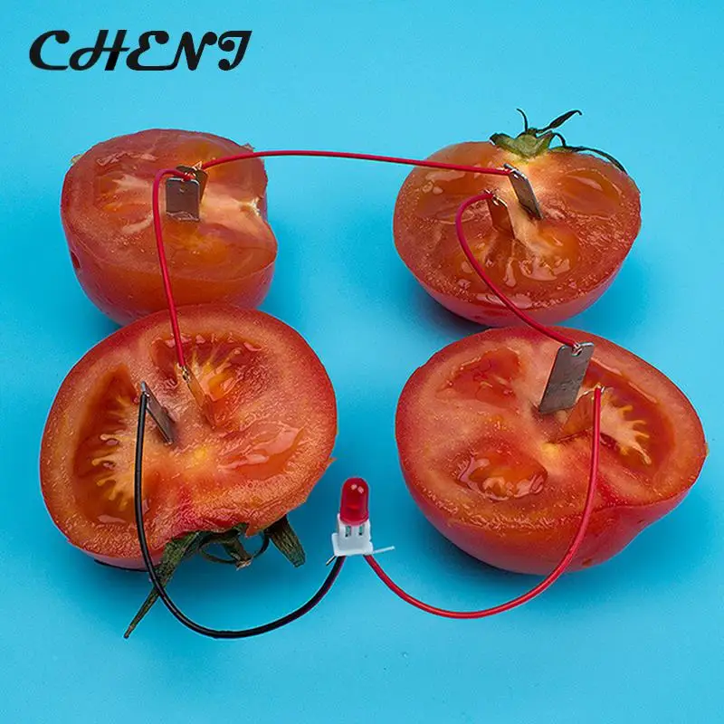 Potato Fruit Supply Electricity Experiments Kids Children Student Learining ChemistryTeaching Tool Bio Energy Science Kit