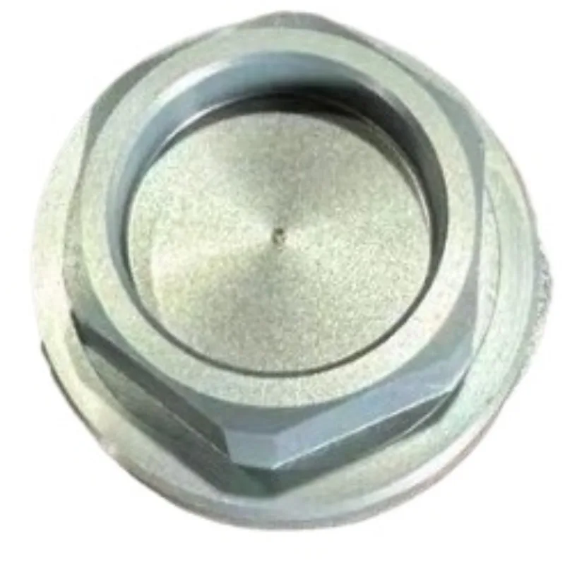 

Tensioner Screw Plug for BMW S1000RR R XR K46 K47 2013-2018