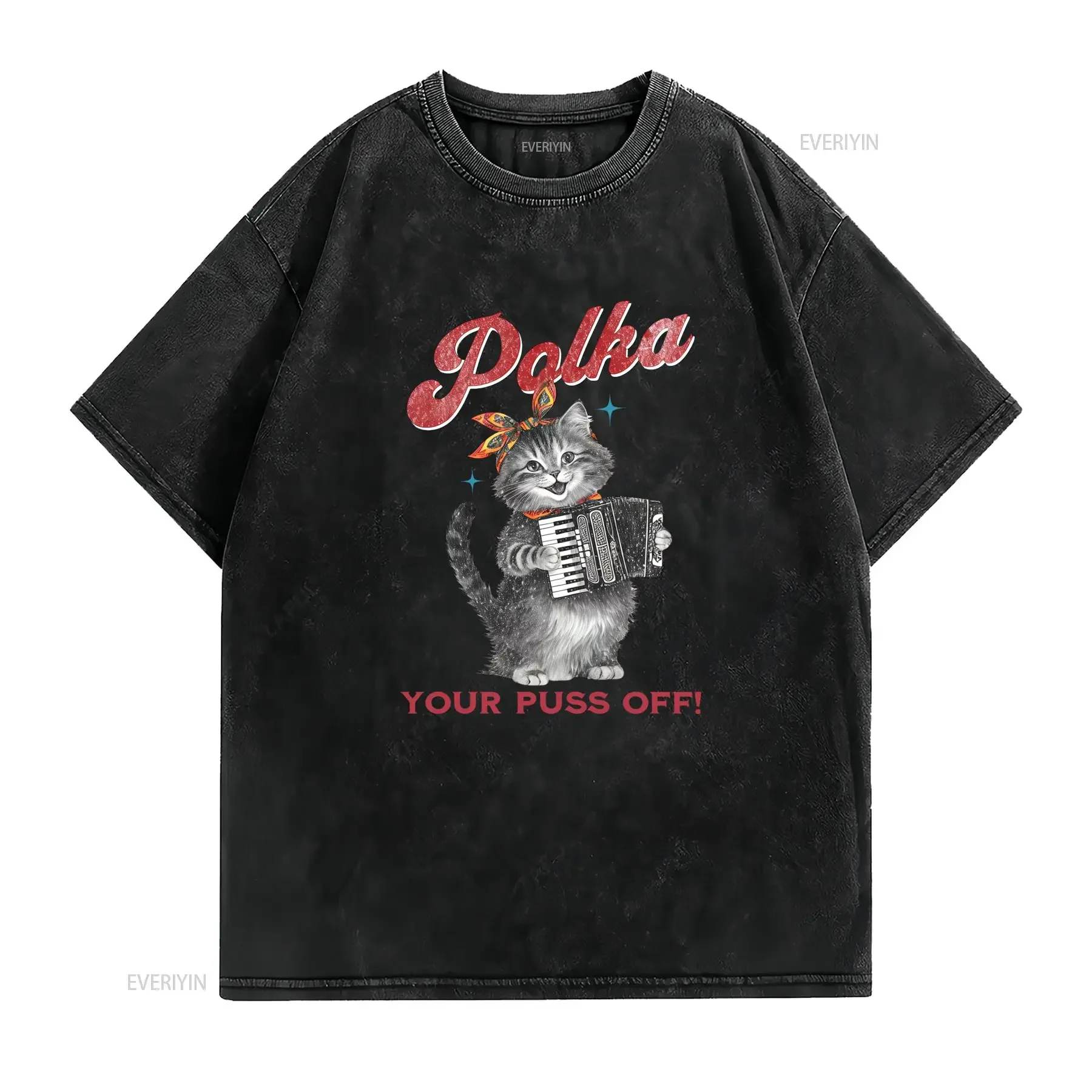 Vintage Funny Polka Music Cat Accordion Print Casual T Shirt vintage Washed Unisex Top For Everyday Wear Comfortable graphic