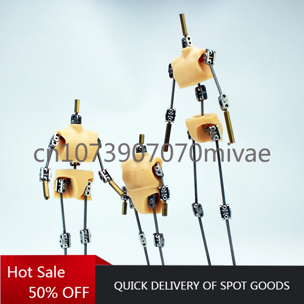 

Standard Version Frozen Frame Animation Skeleton, Animated Character Metal Skeleton, with Silicone