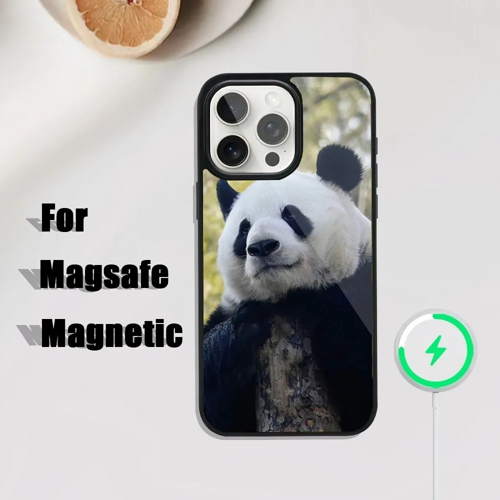 fubao panda   Phone Case For iPhone 16,15,14,13,12,11,Plus,Pro,Max Mini Magsafe Magnetic Wireless Charging