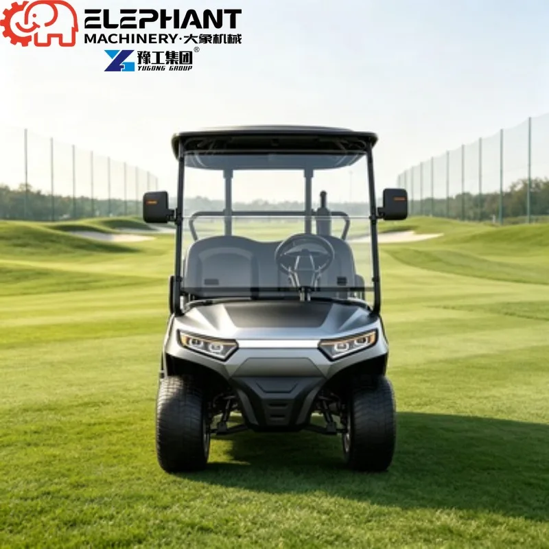 Electric Golf Cart, 2026 New OEM Custom Luxury Street Legal Sightseeing Cart For Golf Course And Hunting Use