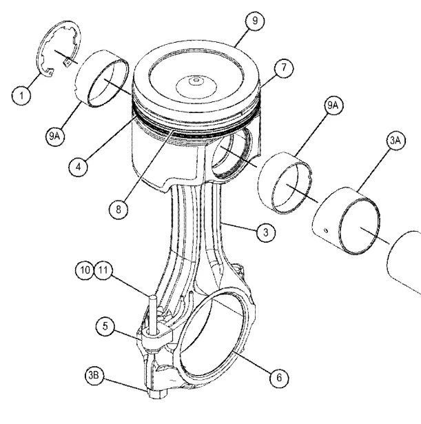 C13 C-13 C15 C18 Co…
