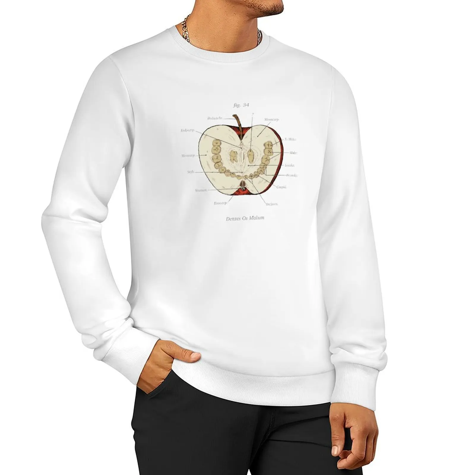 The Magnus Archives - Anatomy Class - Teeth Apple Sweatshirt autumn jacket men hooded sweatshirt