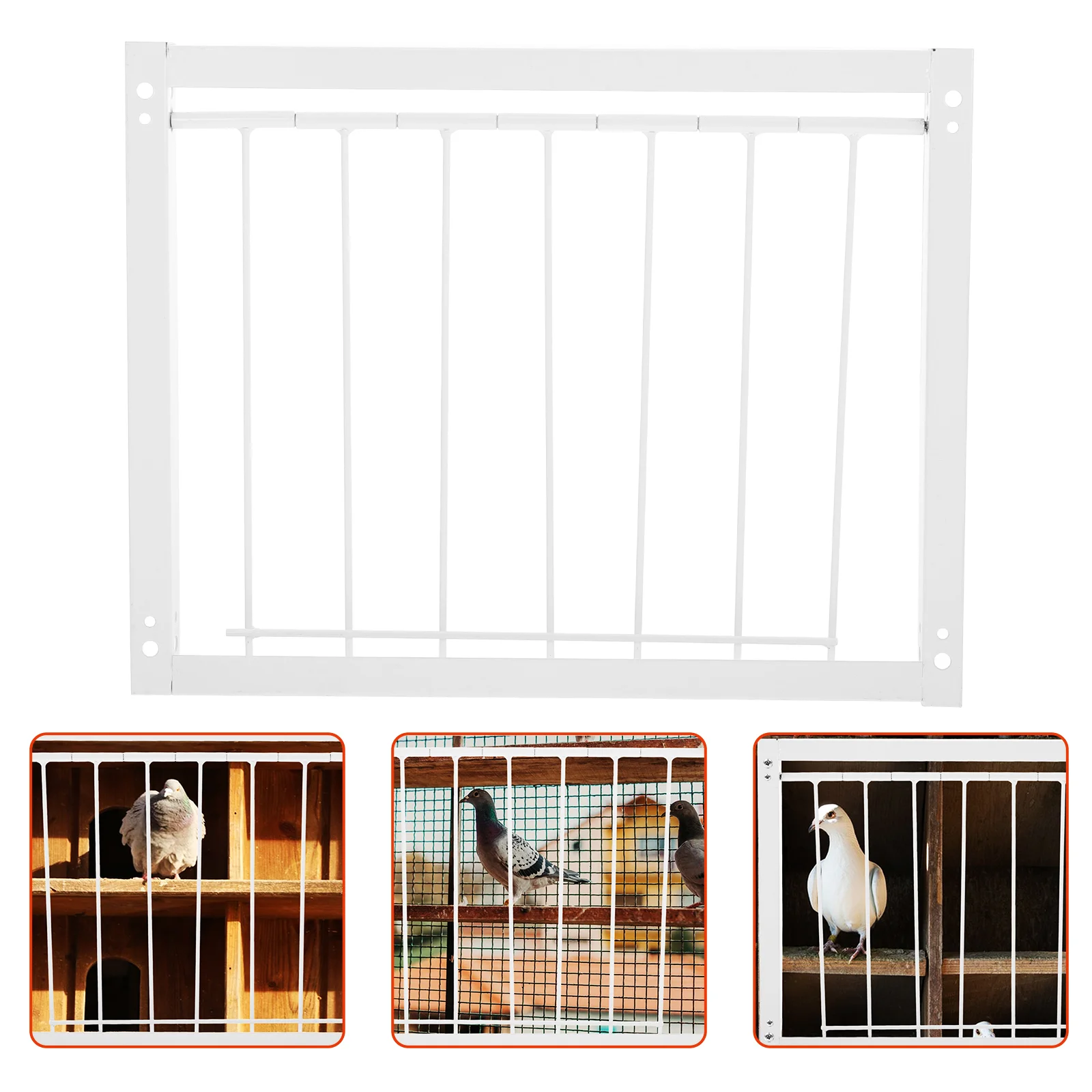 

Bird House Pigeon Cage Door Where Deodorant Loft Stainless Steel Trap for Small Birds