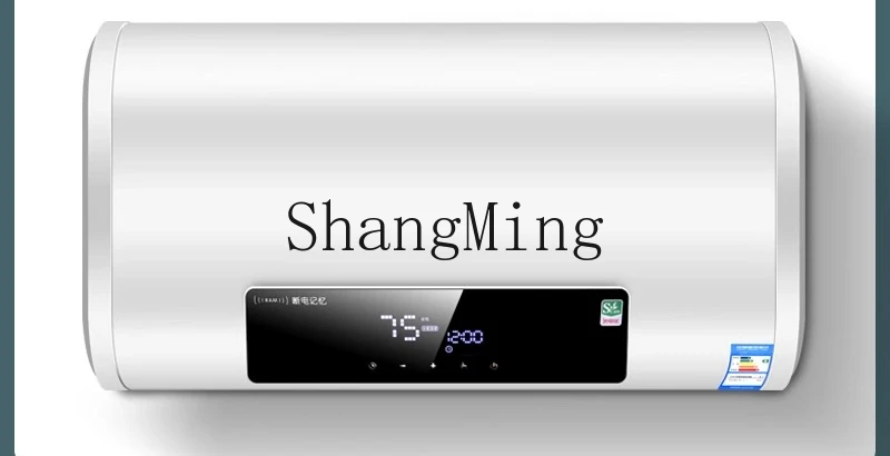 ZYY tipo di accumulo d'acqua per scaldabagno elettrico domestico a risparmio energetico a frequenza variabile di prima classe