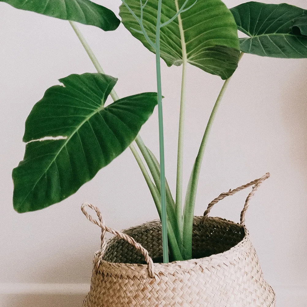 

Набор из 5 пластиковых опор для вьющихся растений в горшках, для сада и дома, прочные, нержавеющие