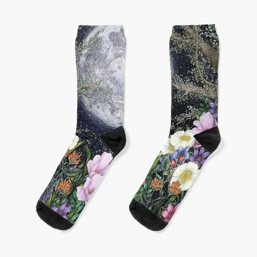 Midnight in the Garden II Socks sports and leisure japanese fashion cool professional running Ladies Socks Men's