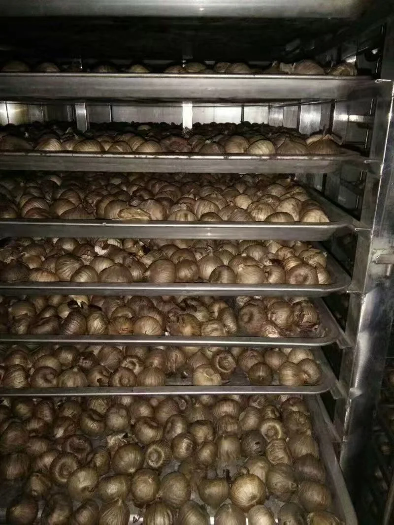Semi-Automatic Black Garlic Ferment Tank Adjustable Temperature Range for Custom Black Garlic Ripening