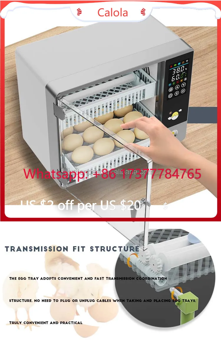 Automatic Mini 50 Roller Multifunctional Best-Selling Appliance