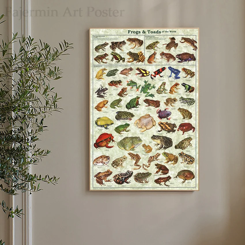 

Frogs & Toads of the World Guide Canvas Interior Paintings Prints Animal Modern Living Room Wall Posters Pictures Home Decor