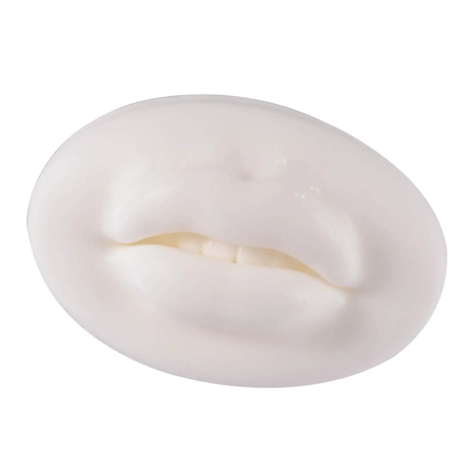 3D Silicone Permanent Makeup Cosmetic Lip Training Practices