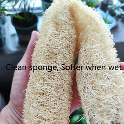 1pcs Saudável Natural Loofah Esponja Scrubber Para Cozinha Bath Shower Wash Body Pot Bowl Esponja Scrubber Spa Banheiro fazer sabonetes