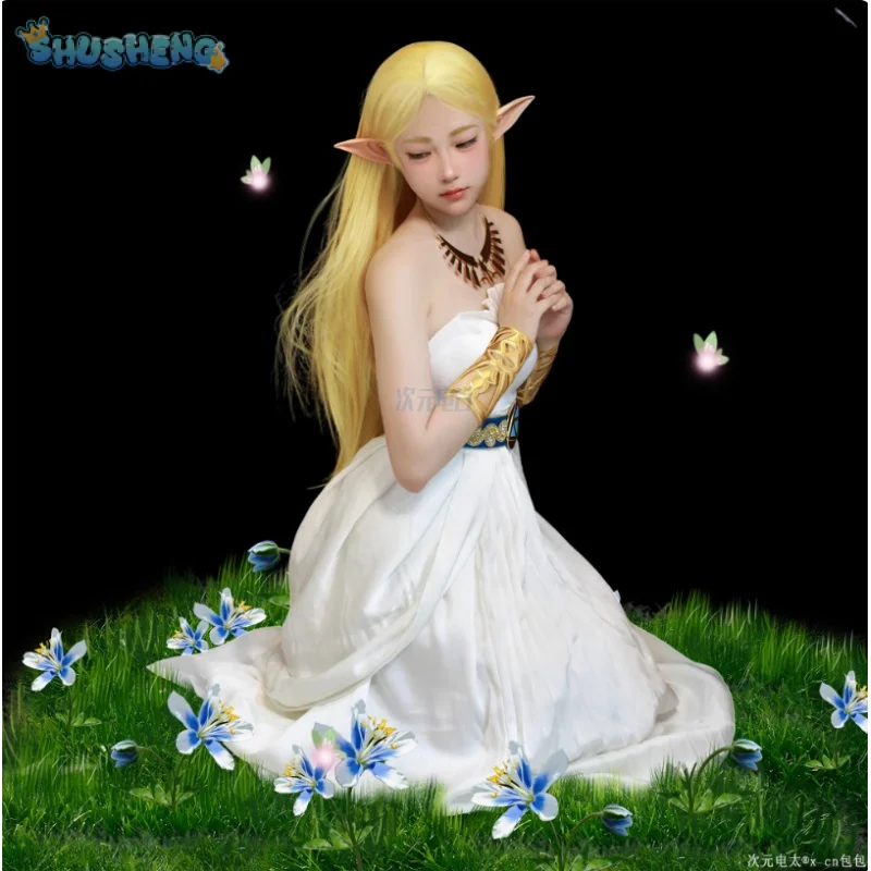 

Game Zelda: Breath of the Wild Zelda Cosplay Costume Dress Belt Earrings Necklace Glove Set Halloween Party Sexy Women Uniform