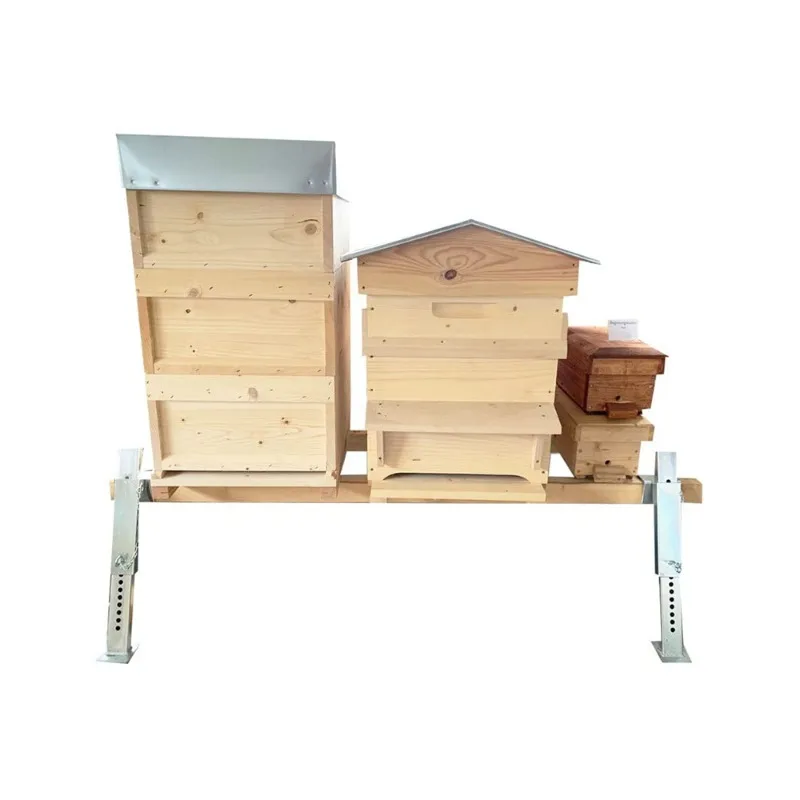 New beekeeping tools: beehive base, stainless steel African beehive bracket