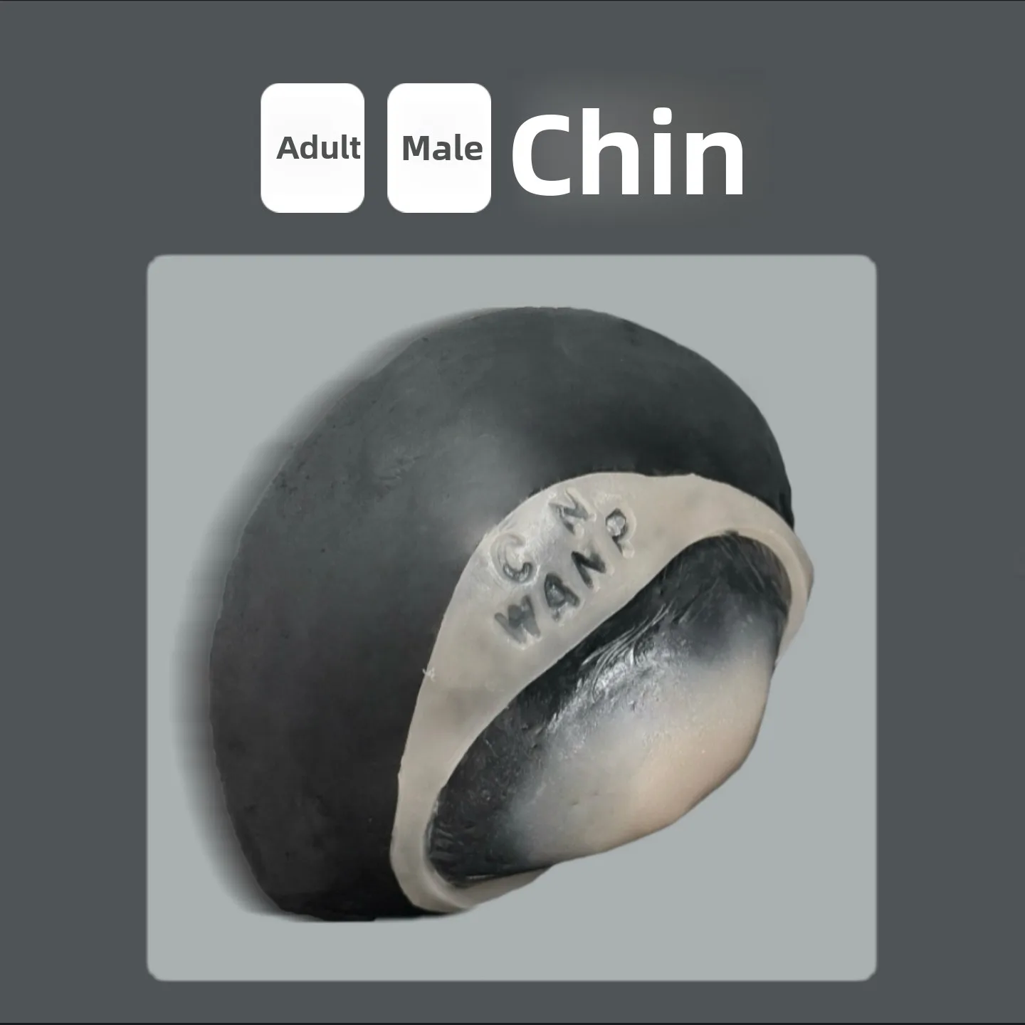 Tee-Pa Platinum Silicone Fake Jawbone Cosplay Prop Disappearing  for Photoaphy And eup Cosplay Photoaphy