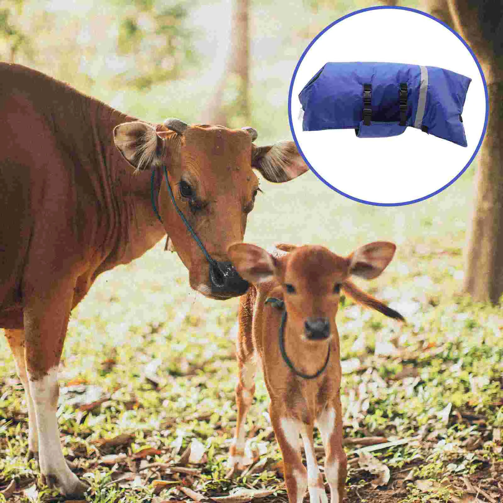 

Livestock Calf Blanket Warm Coats for Women Ranch Supplies Aldult Blue Linoleum Women's