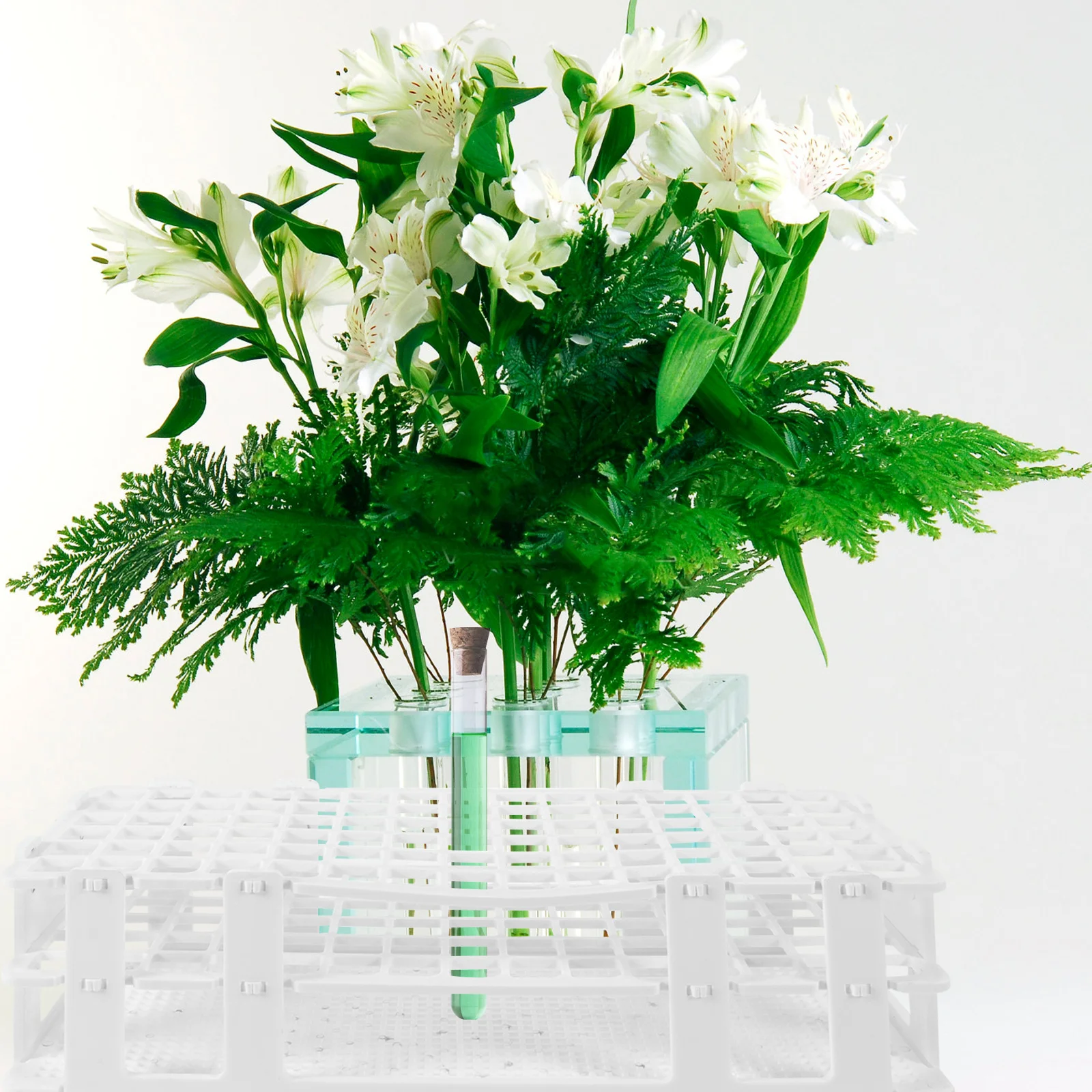 

Test Tube Storage Rack Durable Plastic Laboratory Holder Practical Easy Tube Rack for School Home Lab