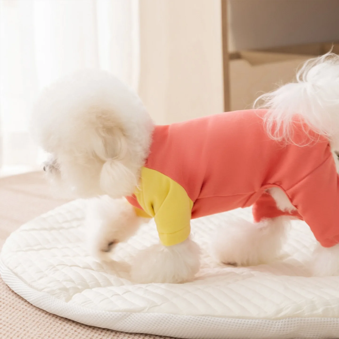 

Pet Four-legged Bottoming Shirt Teddy Winter Warm Clothes Bichon Frise Solid Colour Jumpsuit Soft Dog Clothes