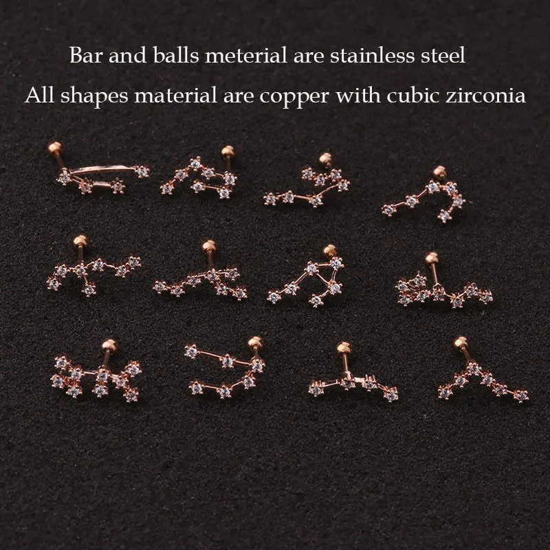 Twelve Constellations Ear Helix Piercing For Women Stainless Steel Cartilage Helix Lobe Piercing Earrings Girl Friendship Gift