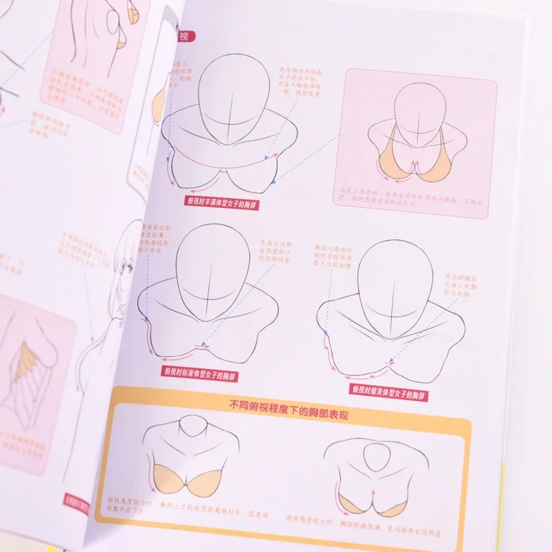 Beauty Pose Anime Female Body+Structure+Dynamic Analysis