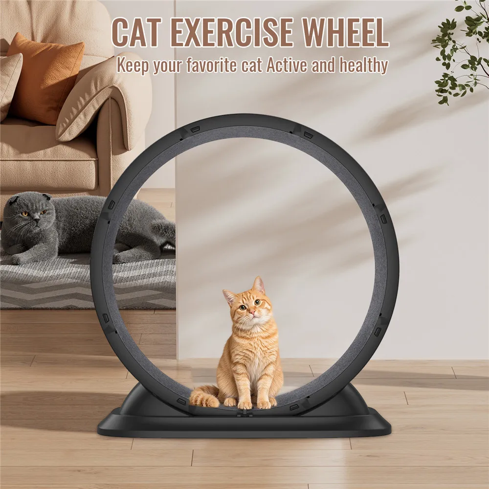  
 Katzen-Laufrad für drinnen, 31,5 Zoll großes Katzen-Laufrad mit abnehmbarem Teppich und Sicherheitsverschluss, ultra-leises Haustier-Laufband für Gehtraining. – Detail 5