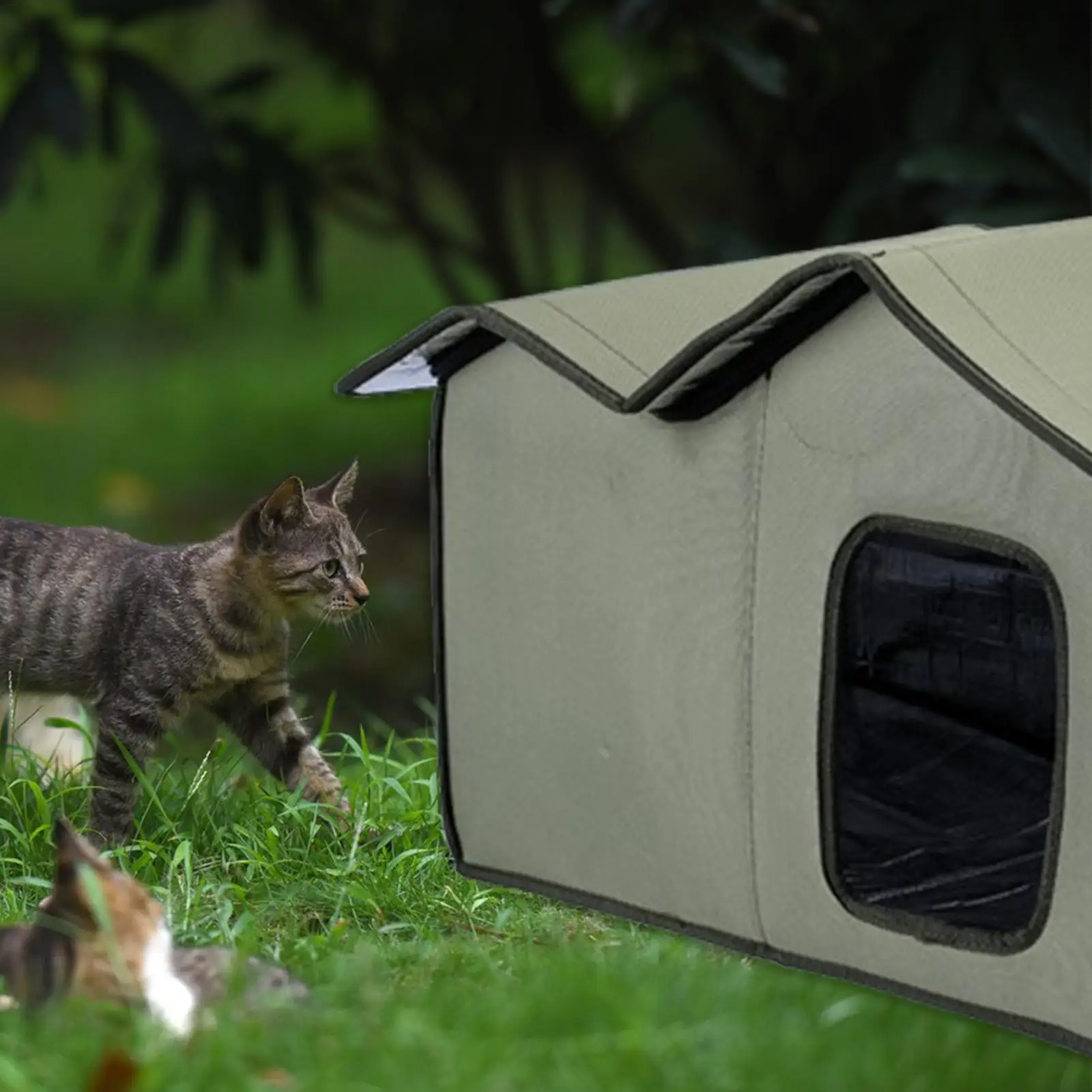 Thumbnail 3 - #16 Outdoor Dog Houses Comparison Guide