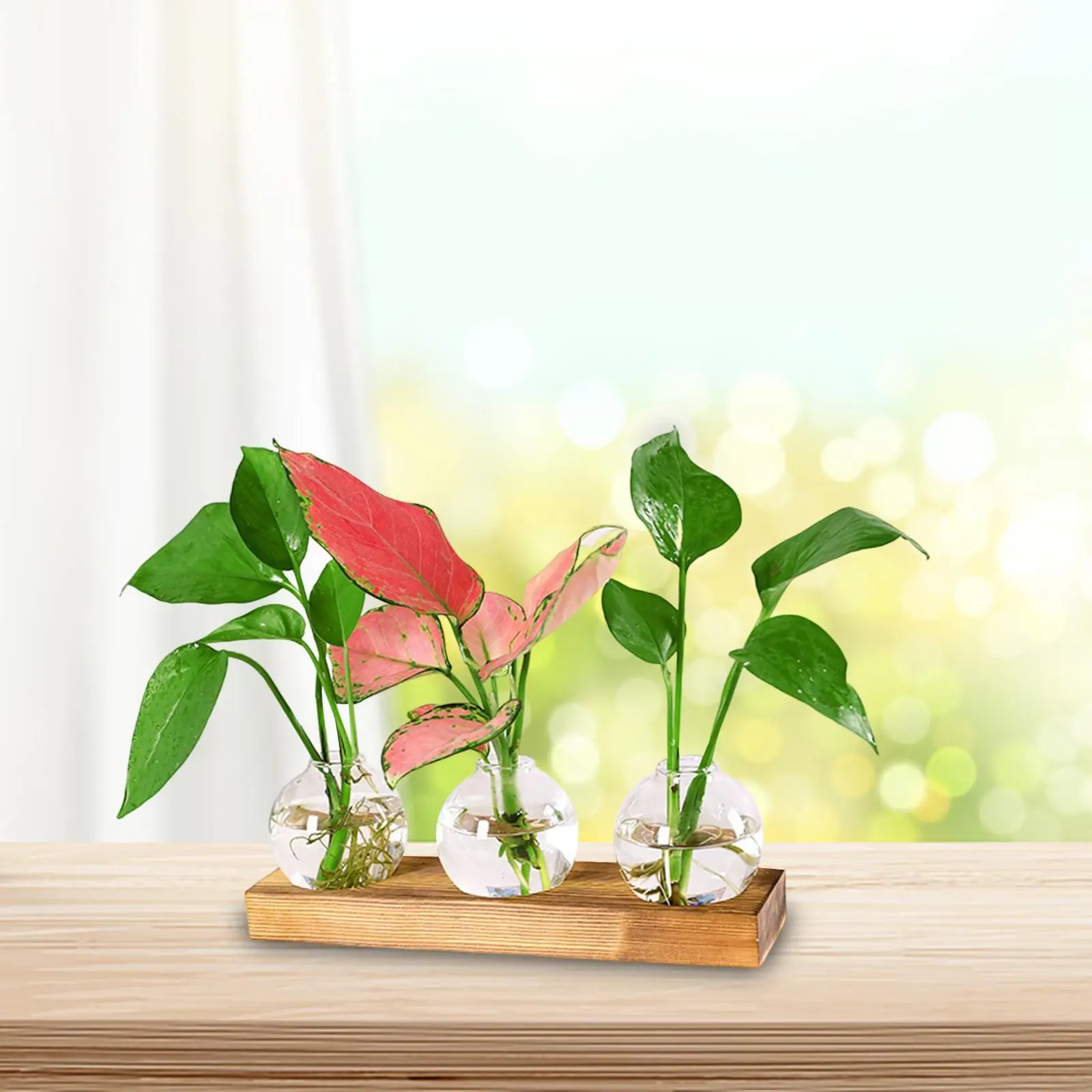 Vase en verre transparent avec base en bois, bouteille créative, pot de propagation