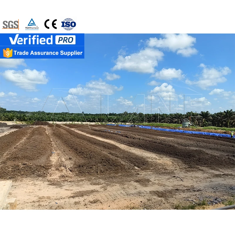 LANE Sugar Residue Rice Husk Palm Rubber And Banana Waste Organic Fertiliser Making Machine Organic Production Line