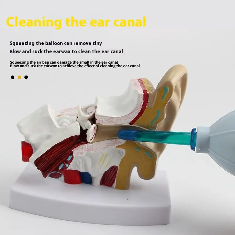 Thumbnail 3 - #32 Ranked Ear Syringes Picks in 2026