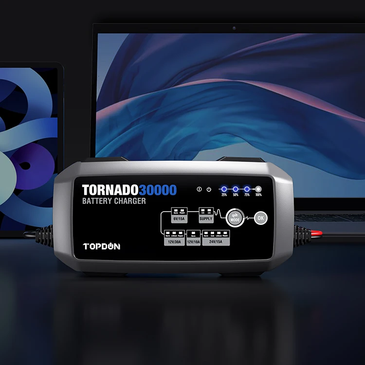 Зарядное устройство TOPDON T30A для автомобильных аккумуляторов 12В/30А, 24В/15А, 12 режимов зарядки, для свинцово-кислотных и литиевых батарей, модуль Power Bank для транспортных средств Зарядное устройство TOPDON T30A для автомобильных аккумуляторов 12В/30А, 24В/15А, 12 режимов зарядки, для свинцово-кислотных и литиевых батарей, модуль Power Bank для транспортных средств