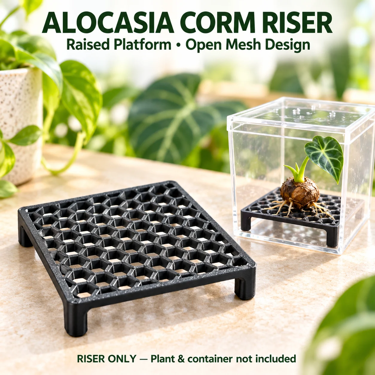 Alocasia Corm Riser Square Mesh Stand for Plant Propagation Raised Platform Insert for Indoor Growing Containers Gardening Tools